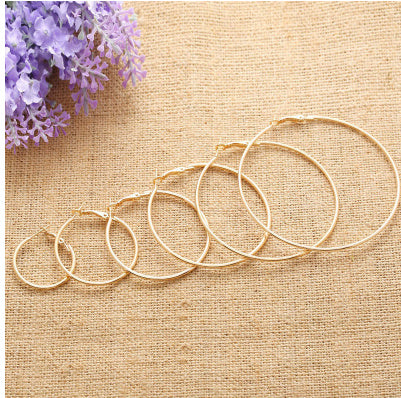 Big Circle Metal Exaggerated Circle Earrings Circle Geometry Earrings